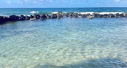 Punatea Village