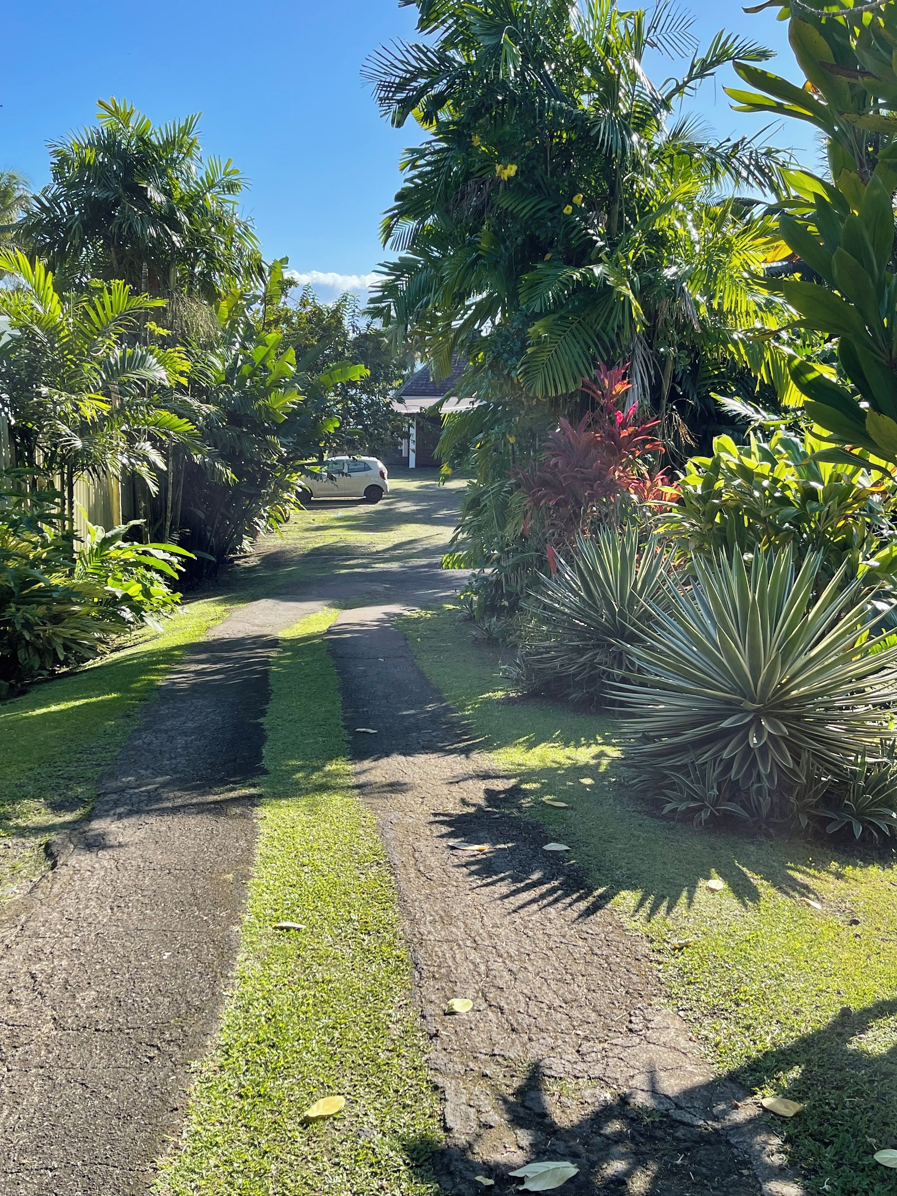 A garden pathway leading to a house with lush greenery and a parked car.