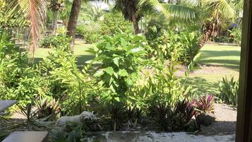 A wooden deck with a bench, overlooking a lush garden with various plants and a palm tree.