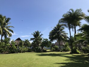Garden - Punatea Village (Taiarapu-Est)