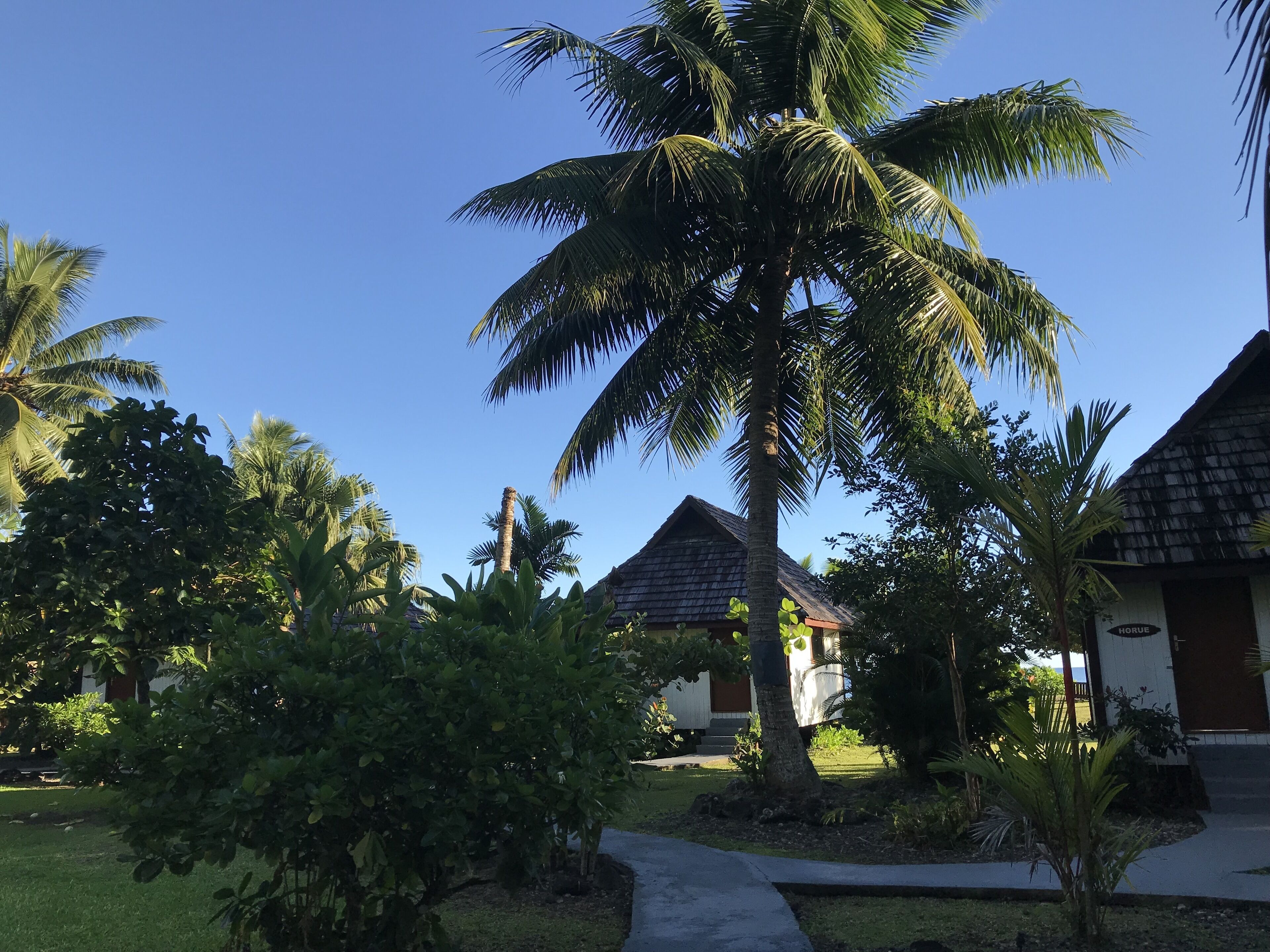 Un resort tropical con palmeras, un sendero y edificios tipo bungalow.