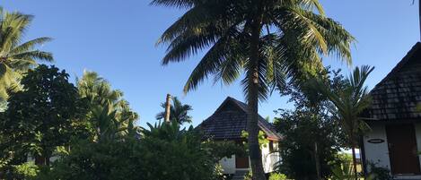 Un resort tropical con palmeras, un sendero y edificios tipo bungalow.