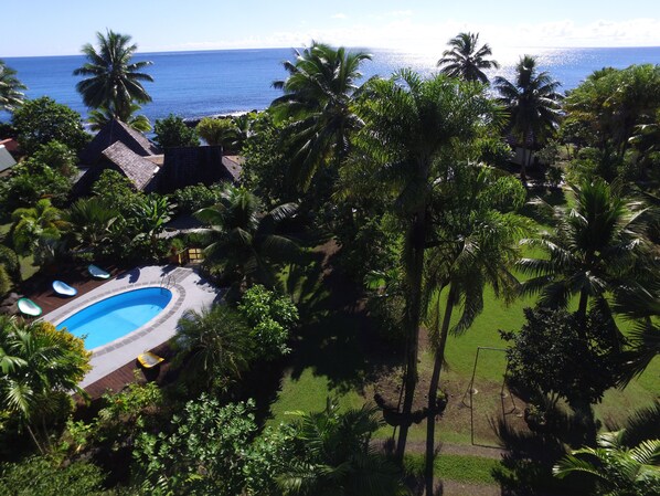 A pool surrounded by lush greenery and palm trees, with a view of the ocean. - Punatea Village (Taiarapu-Est)