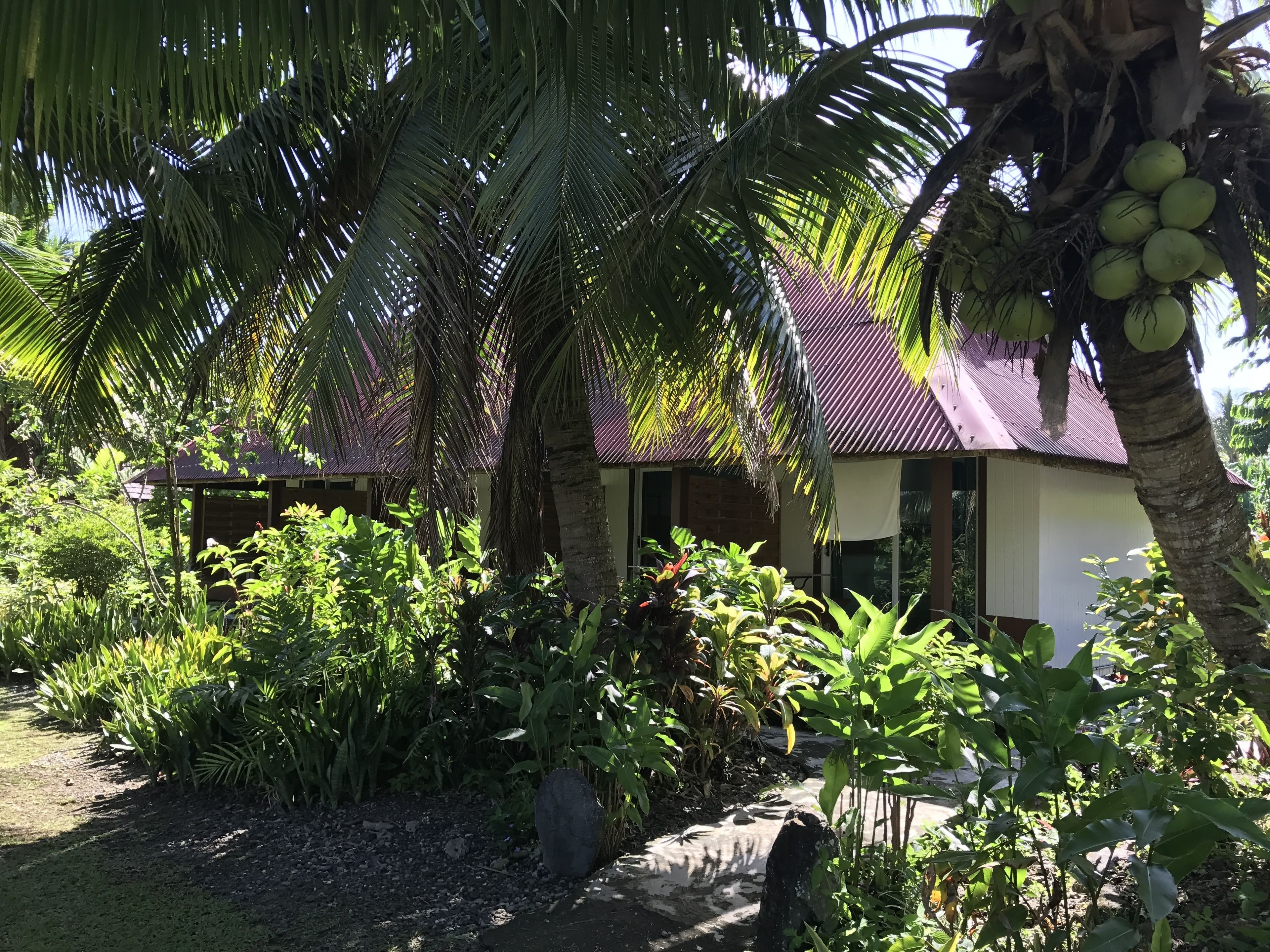 Een tropisch resort met palmbomen, een gebouw met rieten dak en een tuin.
