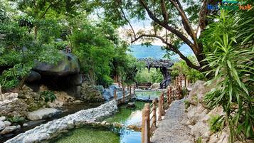 A serene garden with a pond, wooden bridge, and lush greenery.