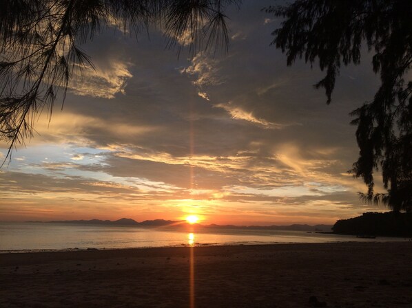 Vista desde la propiedad