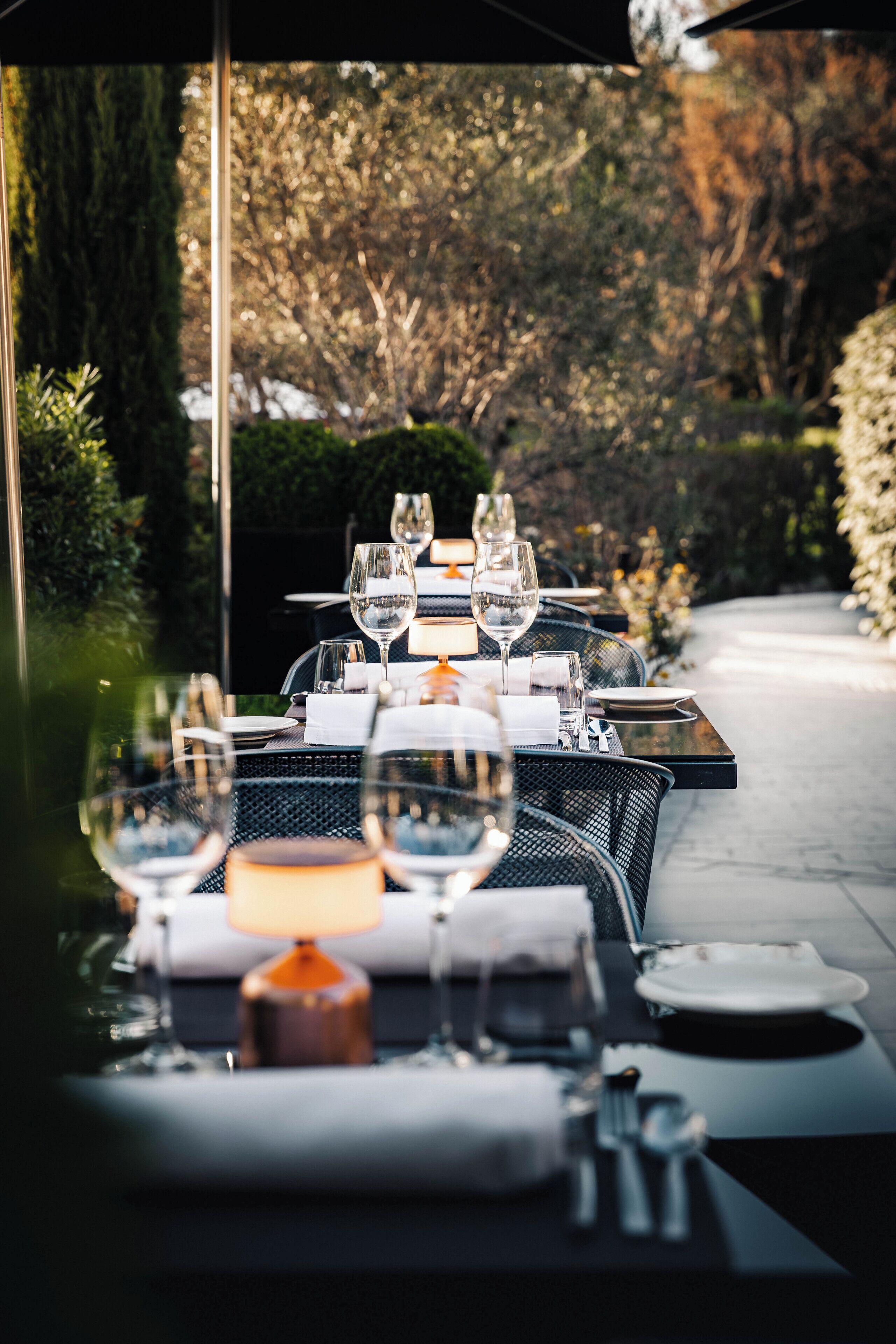 บริการอาหารกลางวัน อาหารเย็น, อาหารฝรั่งเศส, วิวสวน