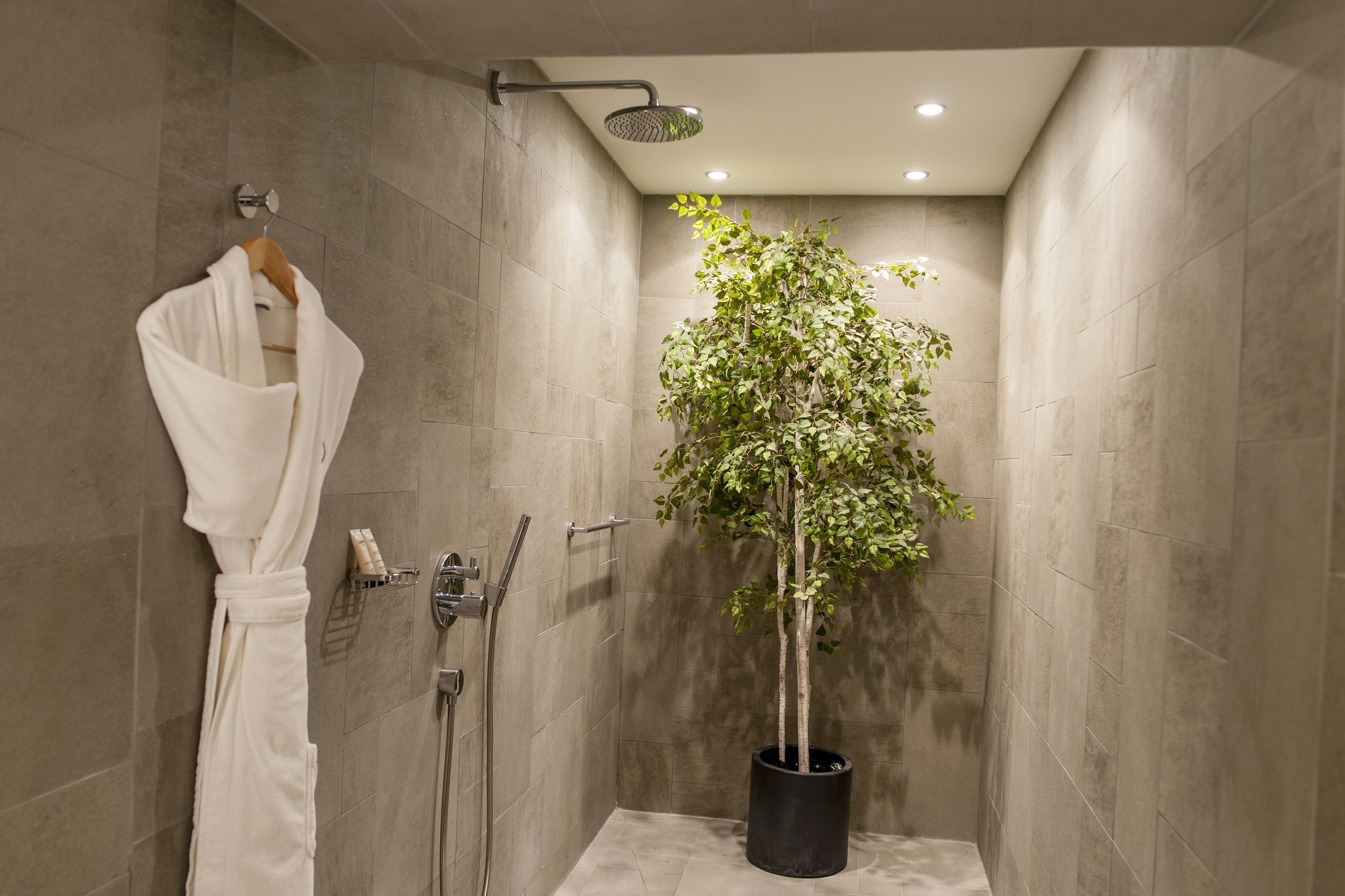 Ein modernes Badezimmer mit begehbarer Dusche, aufgehängtem Bademantel und einer Topfpflanze.