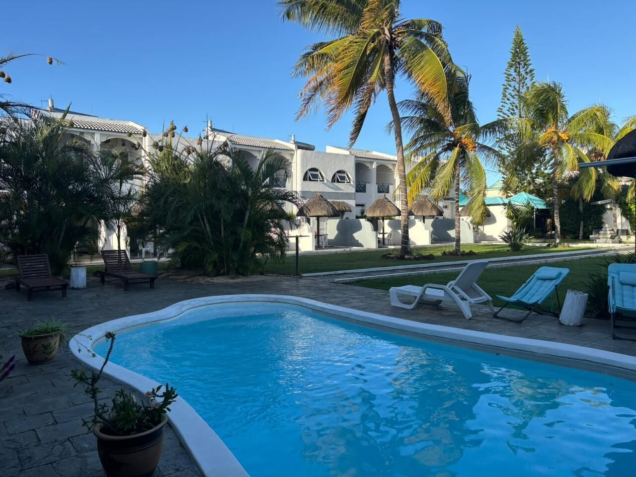A swimming pool with lounge chairs, palm trees, and a building with arched windows.