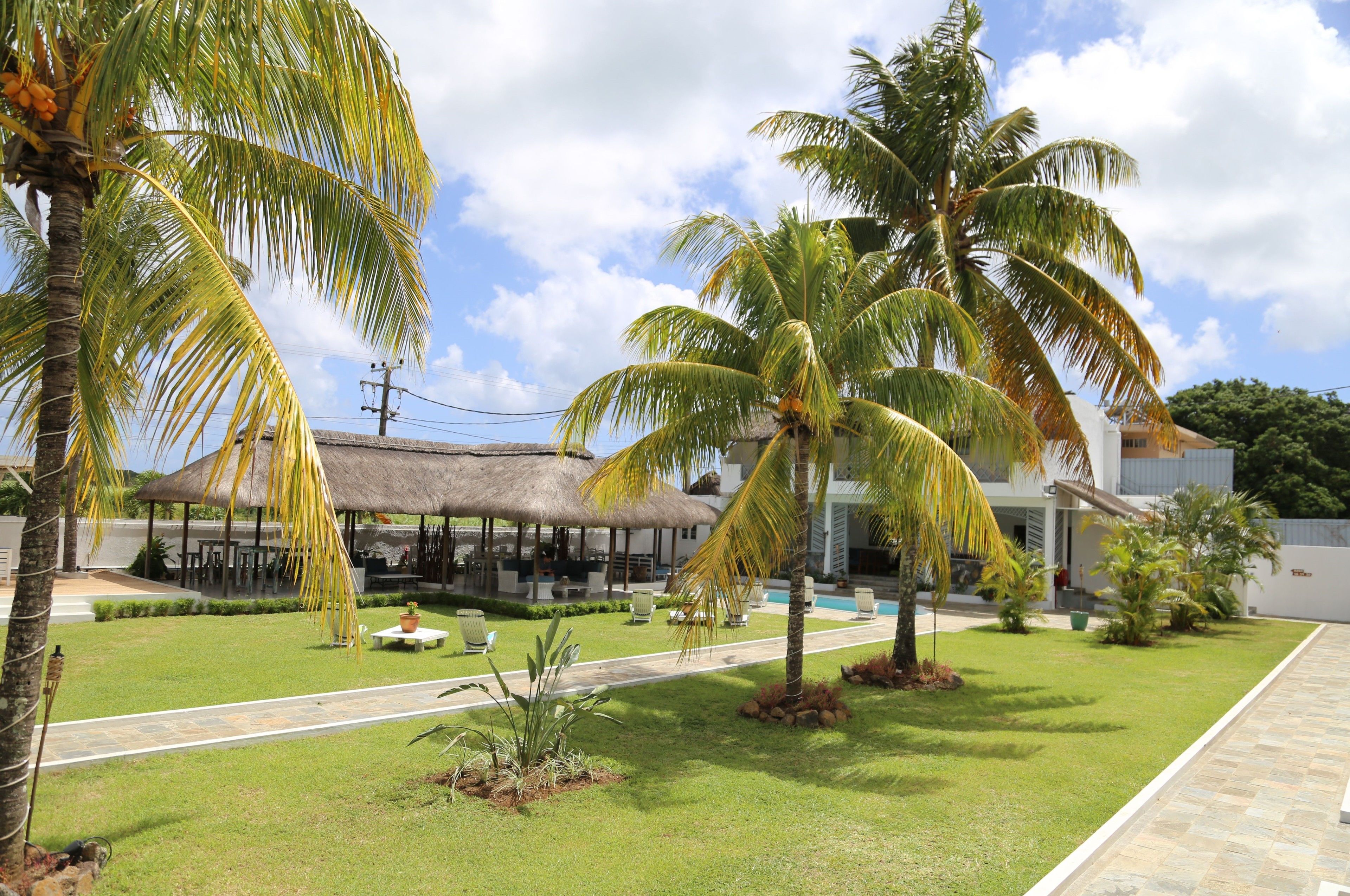 A resort with a thatched-roof structure, palm trees, a swimming pool, and a well-maintained lawn.