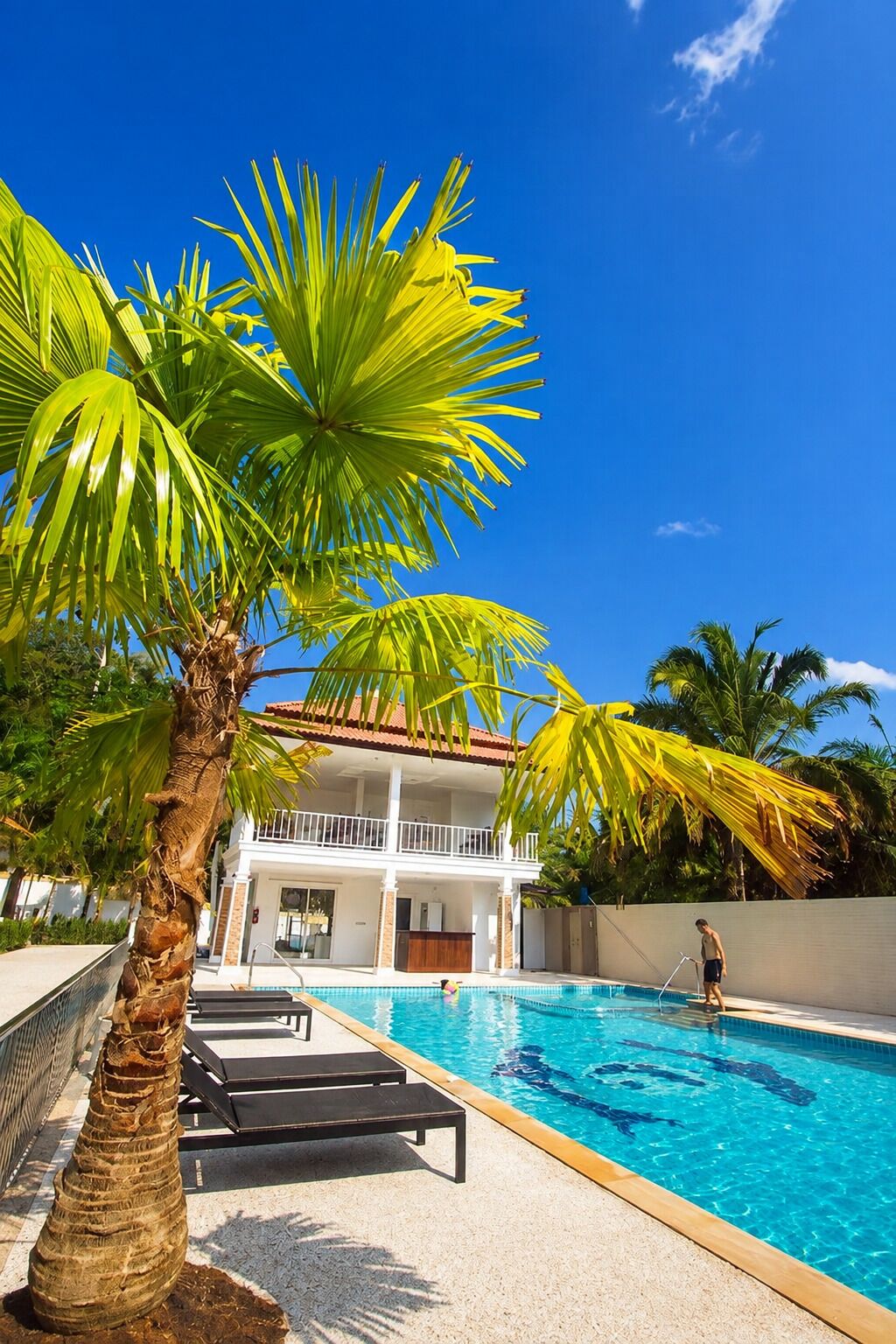 Outdoor pool, pool umbrellas, sun loungers