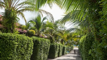 Jardín
