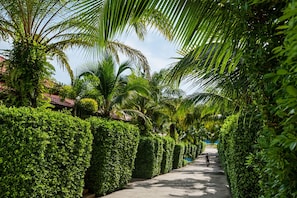 A pathway lined with neatly trimmed hedges and palm trees, leading towards a distant structure. - Lux Family Villas (Krabi)