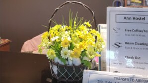 Un letrero que dice 'Ann Hostel' con una cesta de flores en primer plano.