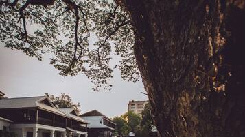 Una pareja parada bajo un árbol, con un edificio al fondo.