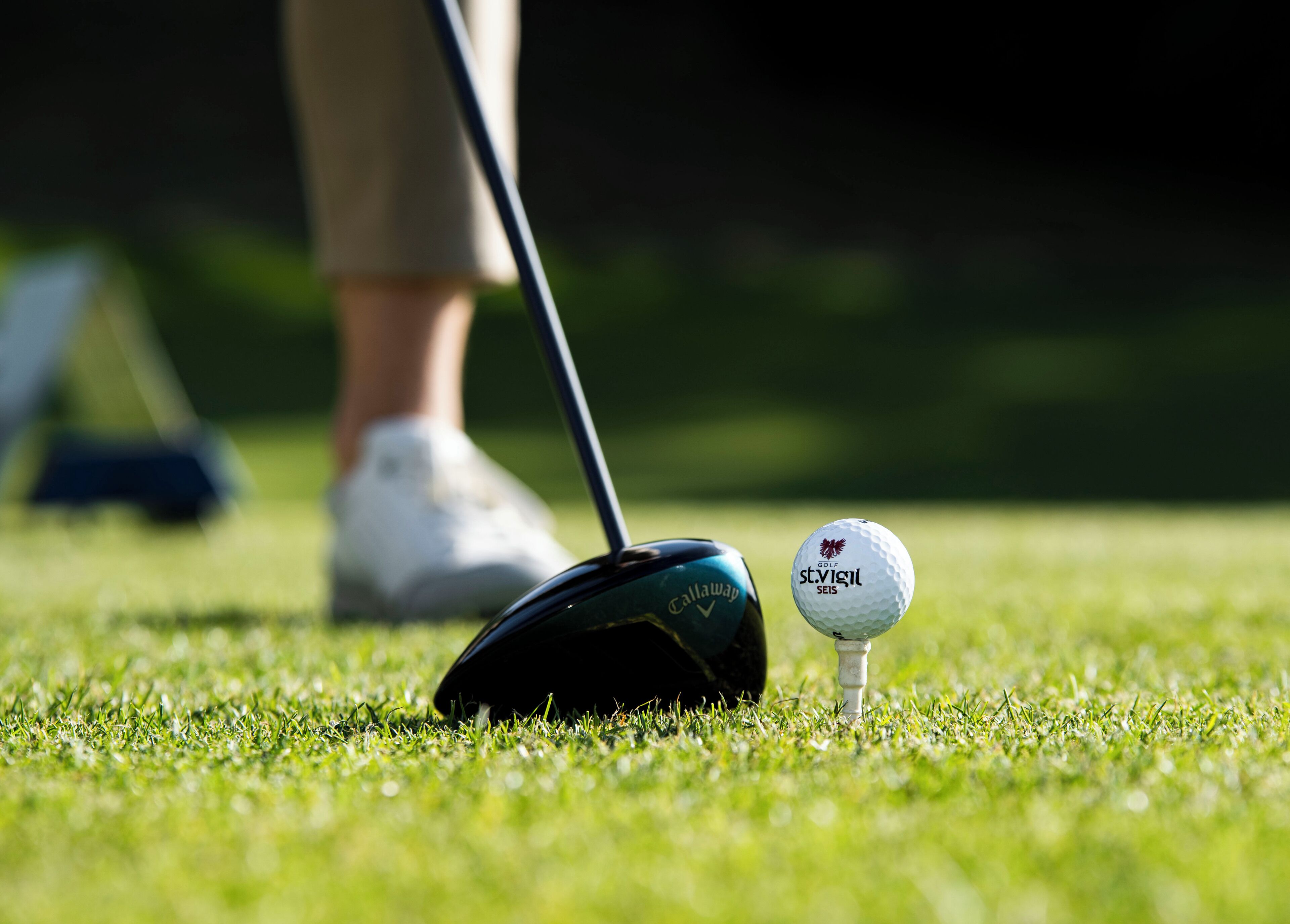 Una pelota de golf y un palo de golf sobre un campo cubierto de césped.