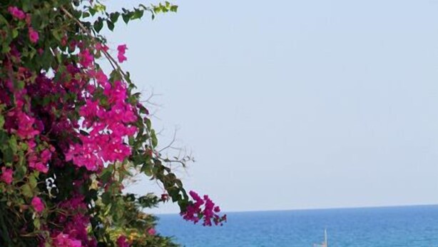 Apartment, 1 Bedroom | View from room - Michel Apartments (Malevizi)