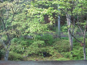 Twin Room, Annex Building | Pemandangan dari bilik