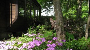 A garden with purple flowers and a tree.