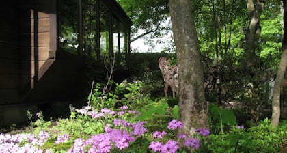 La Forest De Nome Karuizawa