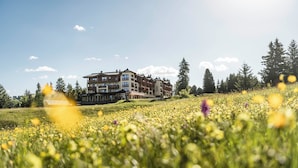 Un hotel de varios pisos con balcones, situado en un campo cubierto de hierba y árboles al fondo.