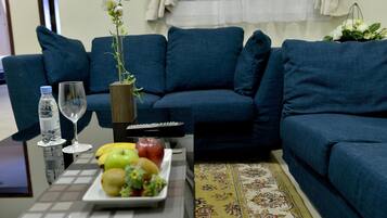 40-inch LCD TV with satellite channels, TV