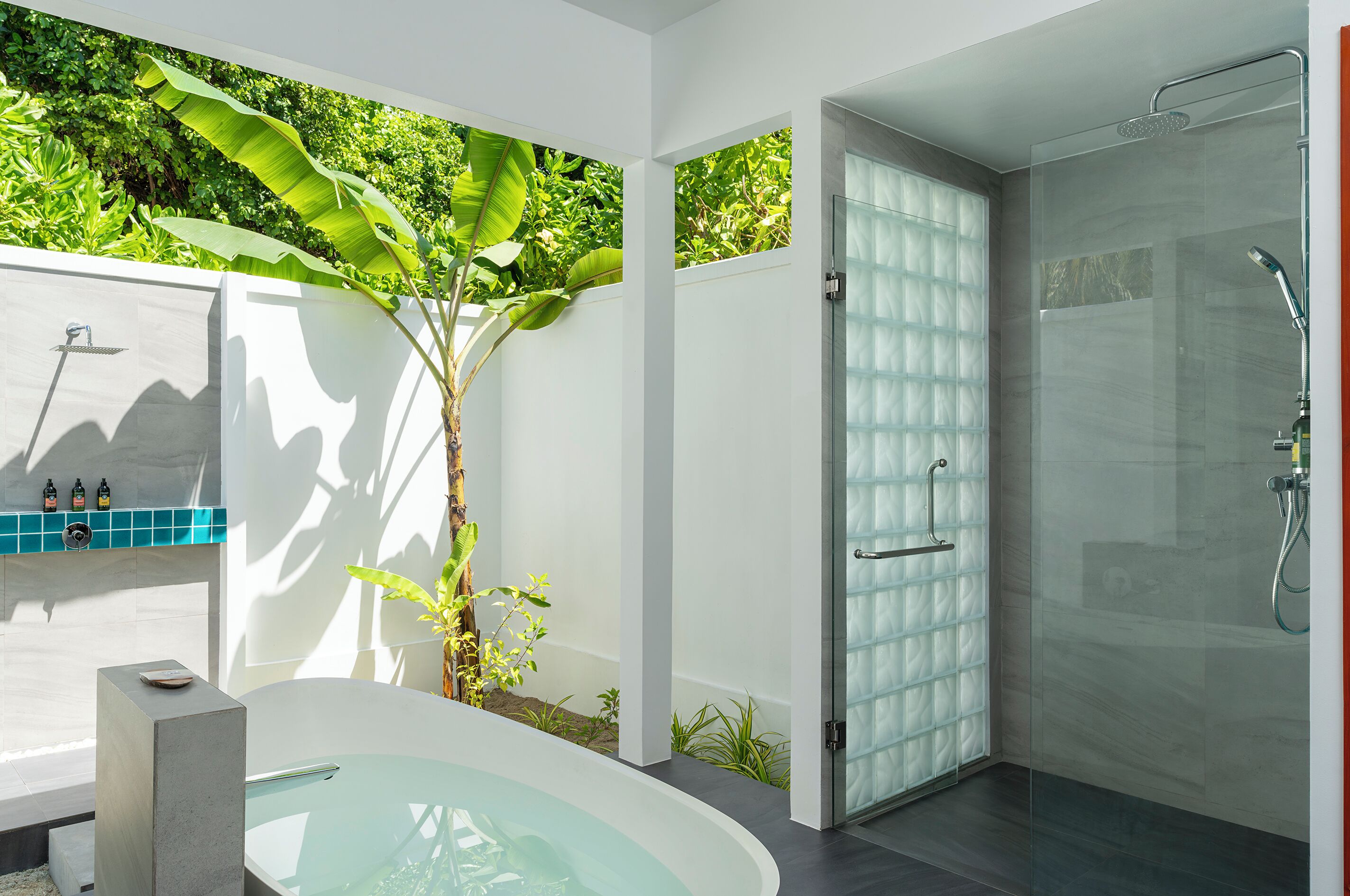 Ein modernes Badezimmer mit einer gläsernen Duschkabine, einer freistehenden Badewanne und einer kleinen Pflanze.