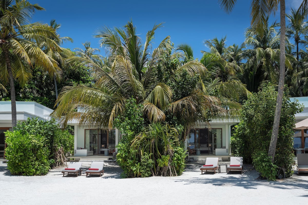 A resort with palm trees, white sandy ground, and lounge chairs.