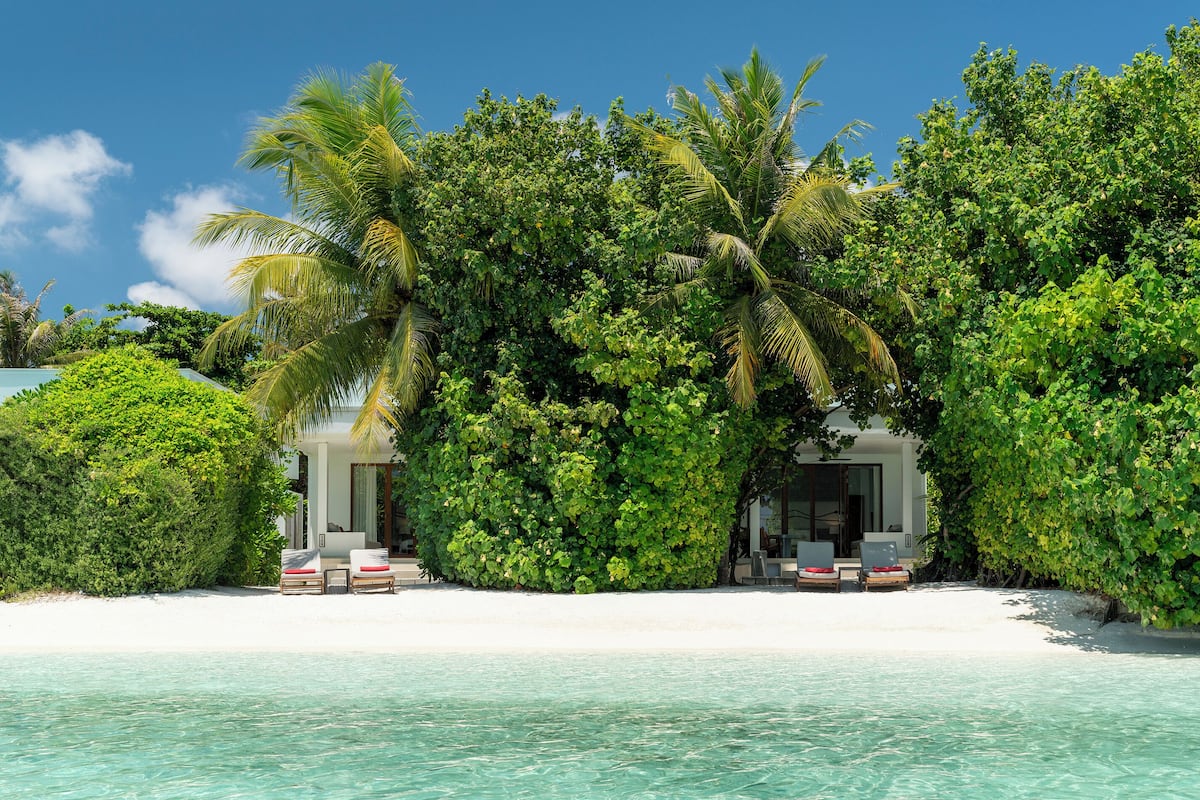A beachfront property with a pool, lounge chairs, and lush greenery.