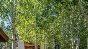 A wooden pathway leading to a building with a covered entrance, surrounded by trees and greenery. - Palisades 4 Bedroom Holiday Home By Tahoe Truckee (Truckee)
