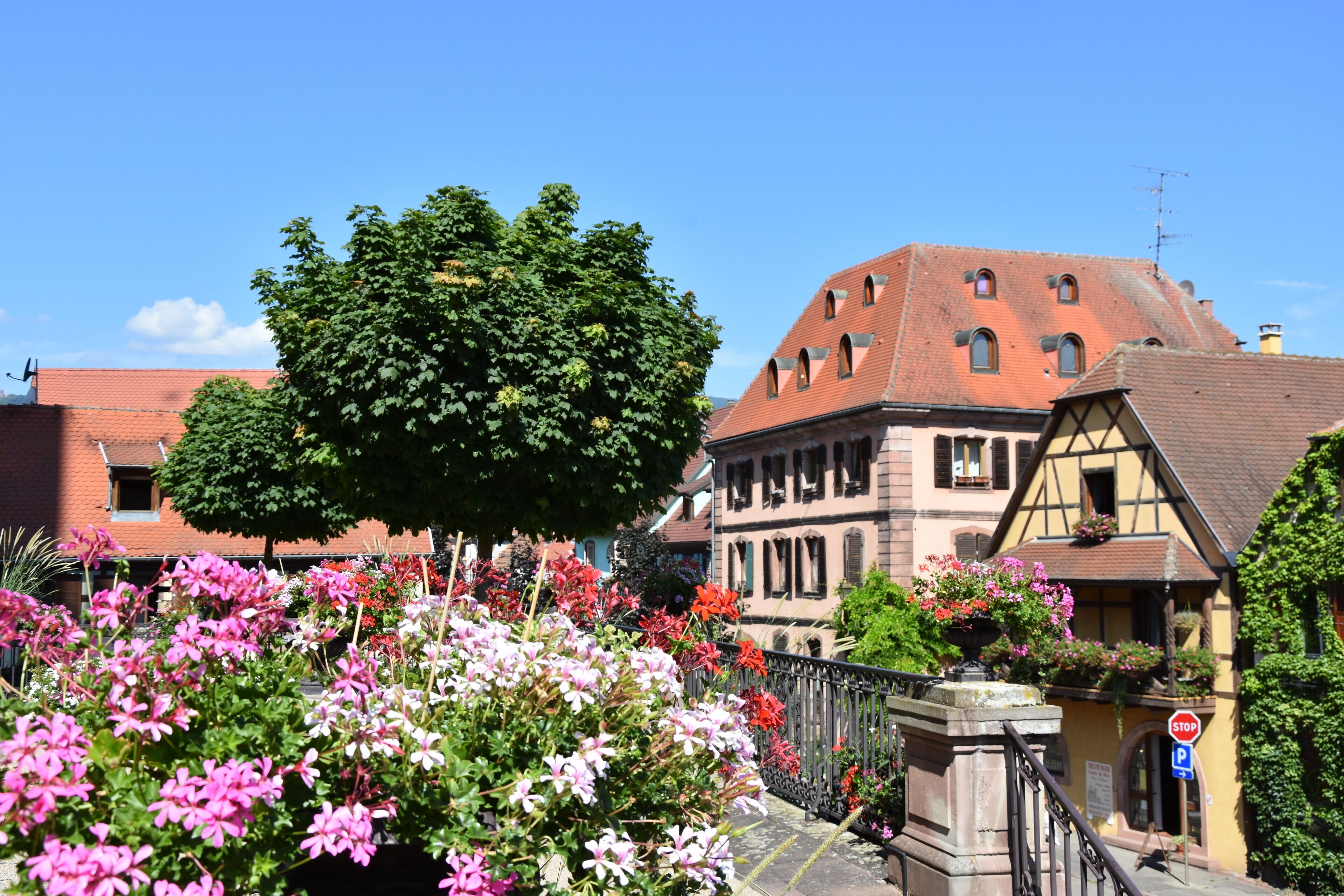 Basic Apartment, Vineyard View (S'Harzala Vert) | Exterior