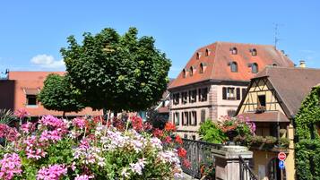 Basic Apartment, Vineyard View (S'Harzala Vert) | Exterior