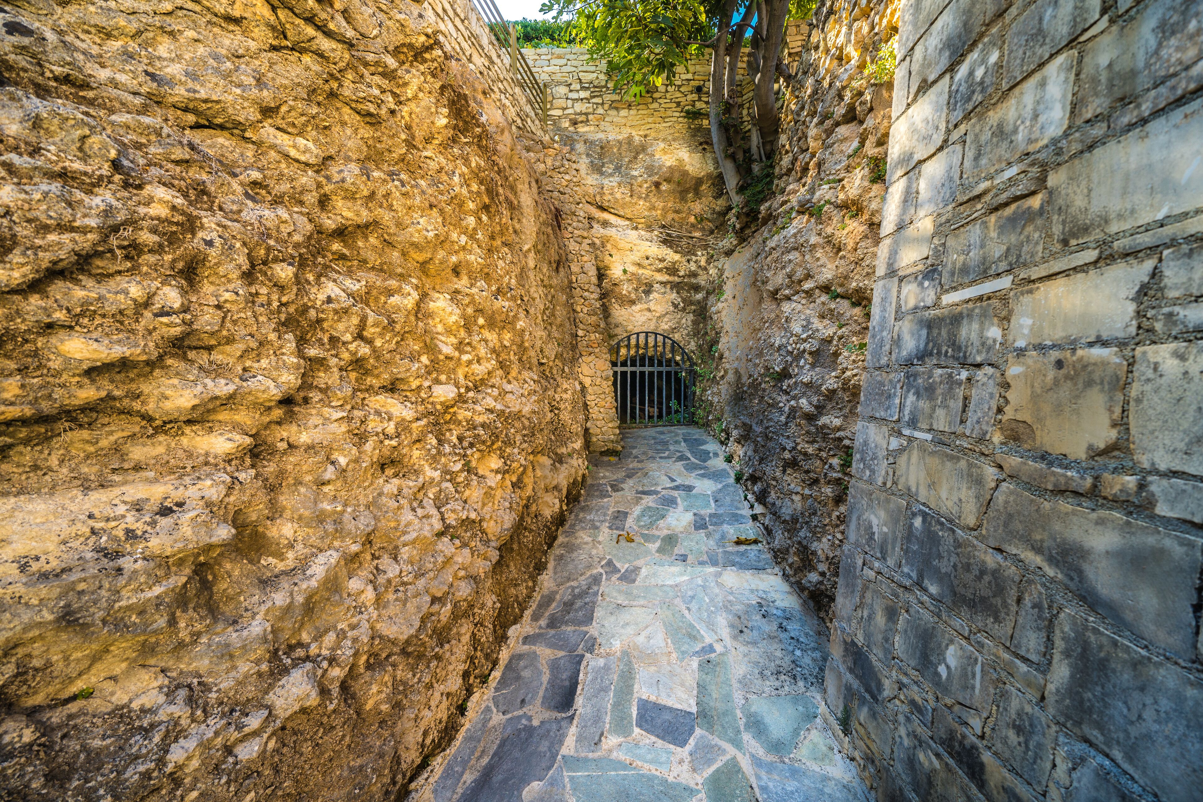 Photo - Forest Park Hotel