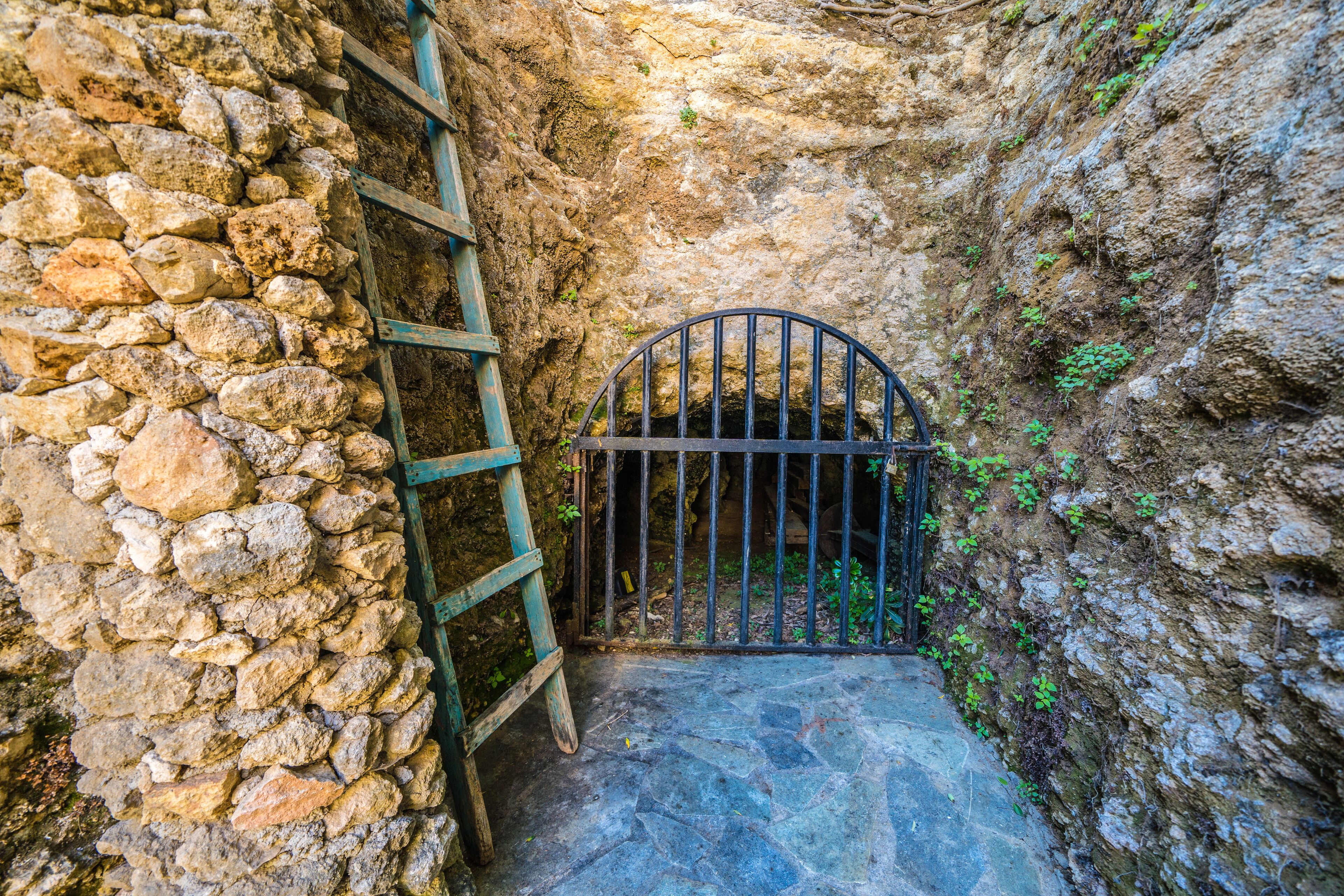 Photo - Forest Park Hotel