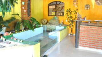 Relax in a stylish space with a large window, vibrant decor, and a lush plant.