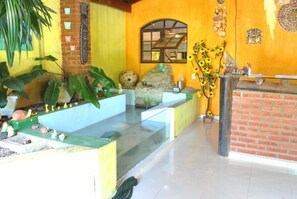 Una habitación con pared de ladrillo, ventana con vistas, un pequeño altar con estatuas religiosas y una planta grande.