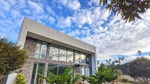 Un edificio moderno con grandes ventanales, fachada de piedra y un césped cuidado con plantas en macetas.