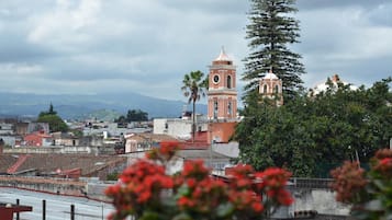A cityscape with a prominent church tower and a large tree.