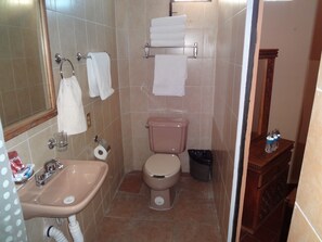 Shower, free toiletries, hair dryer, towels - Hotel Plaza Rivera (Taxco)