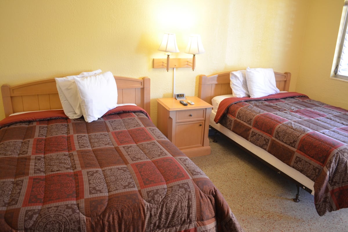 Two single beds with patterned bedding, a nightstand with a lamp, and a window with blinds.