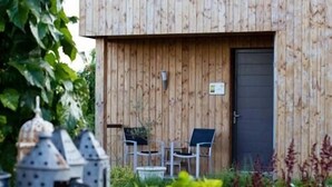 Eksteriør