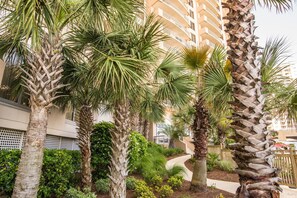 Front of property - Margate 804 Carlos and Terry's 3 Bedroom Condo by Prista Management (Myrtle Beach)