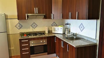 Full-sized fridge, microwave, oven, stovetop