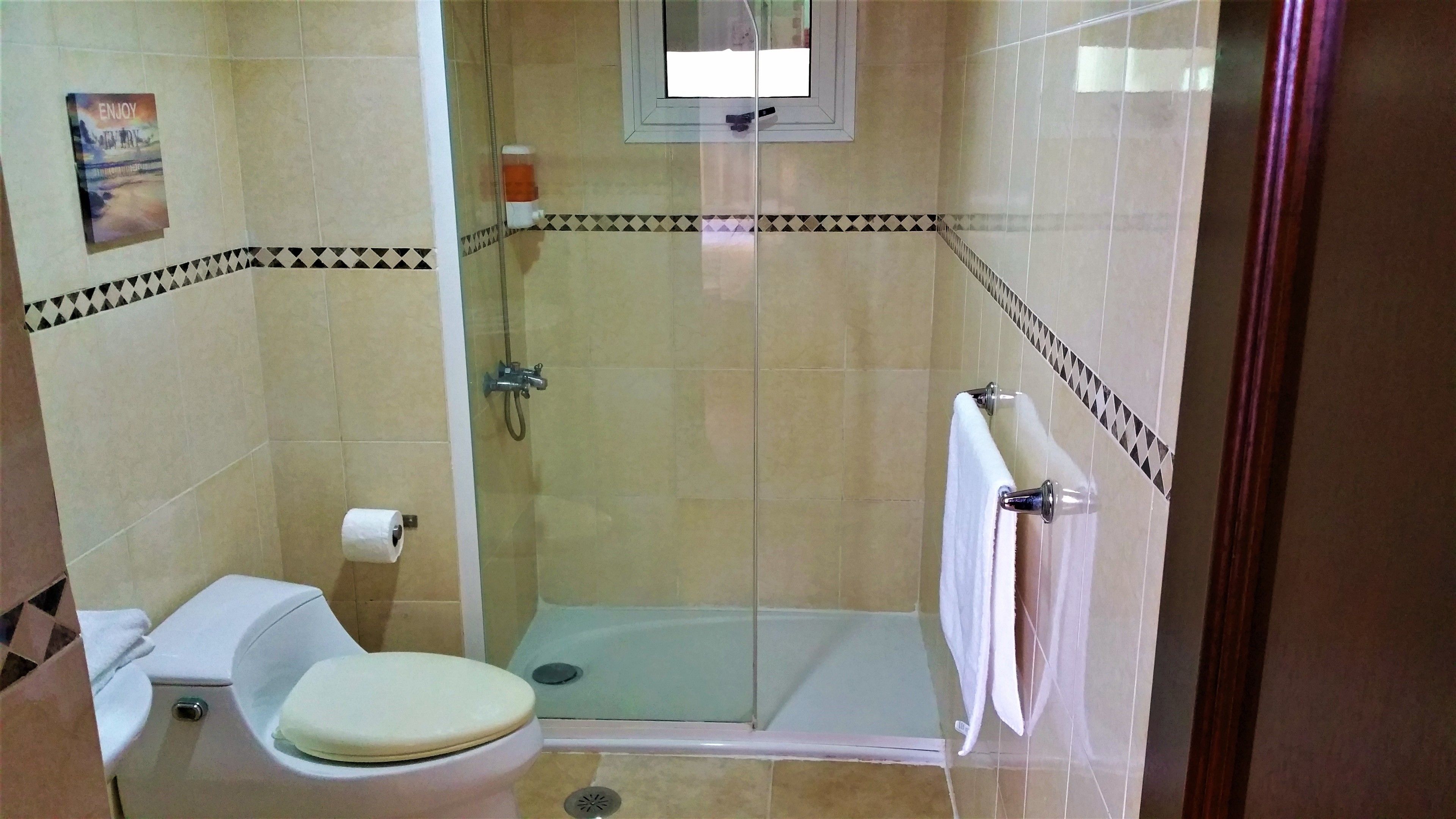 Un bagno con un water, una doccia e un portasciugamani.