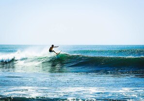 Beach - Tapas and Surf (El Viejo)