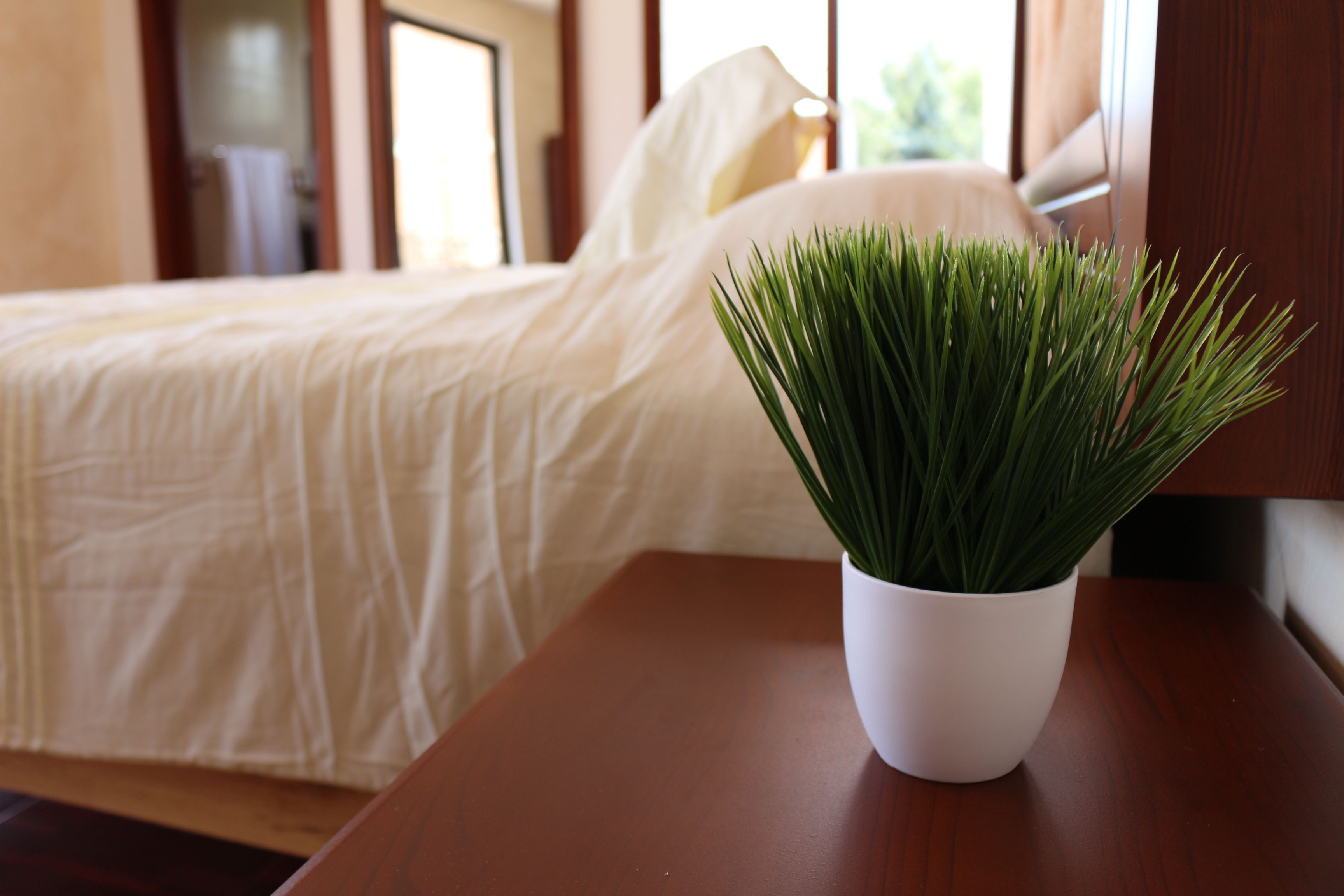 Escritorio, tabla de planchar con plancha, camas extra y wifi gratis 