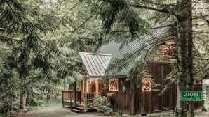 A rustic cabin with a metal roof, wooden deck, and a gravel driveway, surrounded by dense forest. - 32mbr - Bbq - Pets Ok - Wood Stove - Sleeps 7 3 Bedroom Home by RedAwning (Deming)