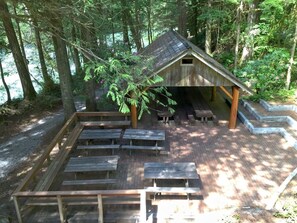 Escape to a serene forest retreat with a cozy cabin surrounded by tall trees and a wooden deck for relaxation.