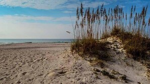 Une plage de sable avec de hautes herbes et un ciel dégagé.