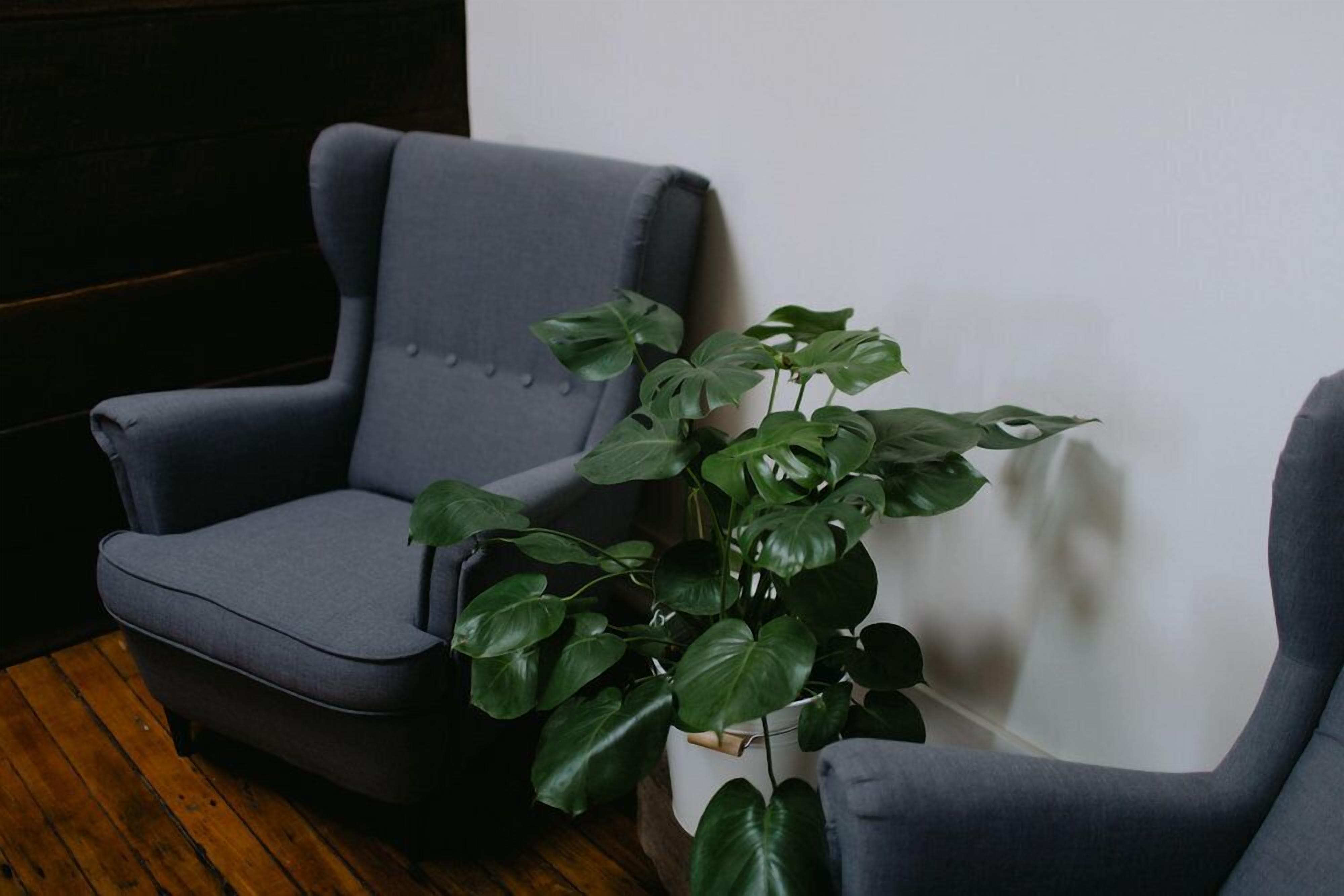 design double room, 1 king bed | 1 bedroom, minibar, desk, iron/ironing board